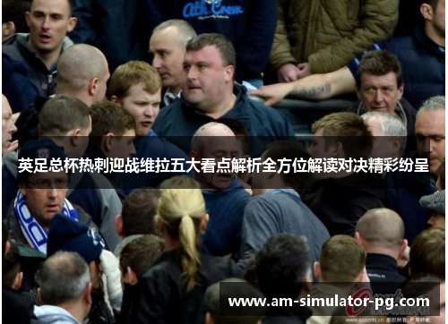 英足总杯热刺迎战维拉五大看点解析全方位解读对决精彩纷呈